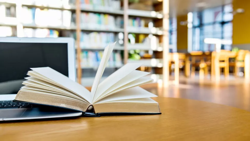 42 Faculty Members Receive Haslam Summer Scholars Research Awards